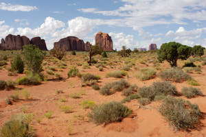 monument valley<br>NIKON D200, 20 mm, 100 ISO,  1/320 sec,  f : 8 
